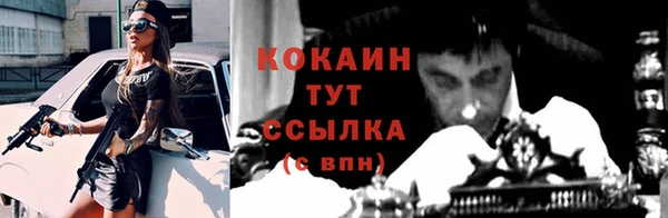 стаф Осинники