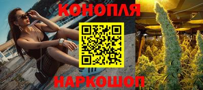 сатива Кулебаки