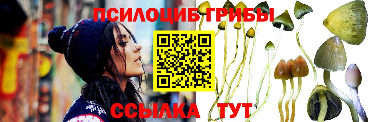 Галлюциногенные грибы GOLDEN TEACHER Екатеринбург