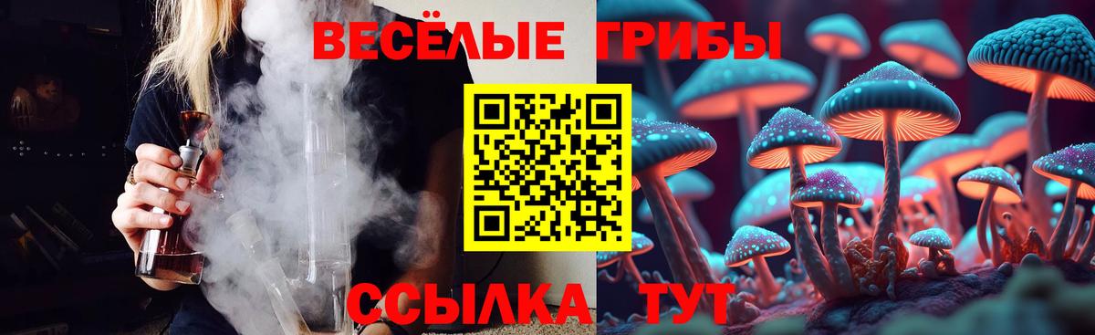 даркнет сайт  Вход с VPN  Екатеринбург  Псилоцибиновые грибы Magic Shrooms 